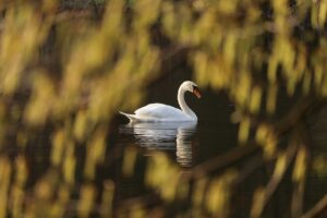黒ずみを解消する美白クリームのポンプタイプはどれが効果的？