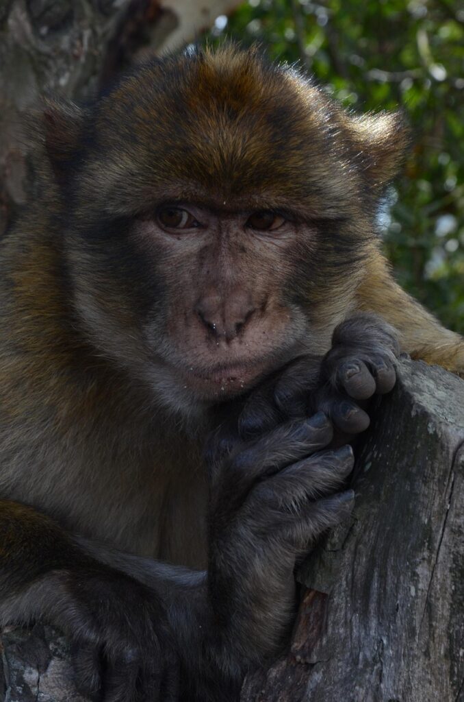 黒ずみを改善する美白クリームは無添加で選ぶべき？