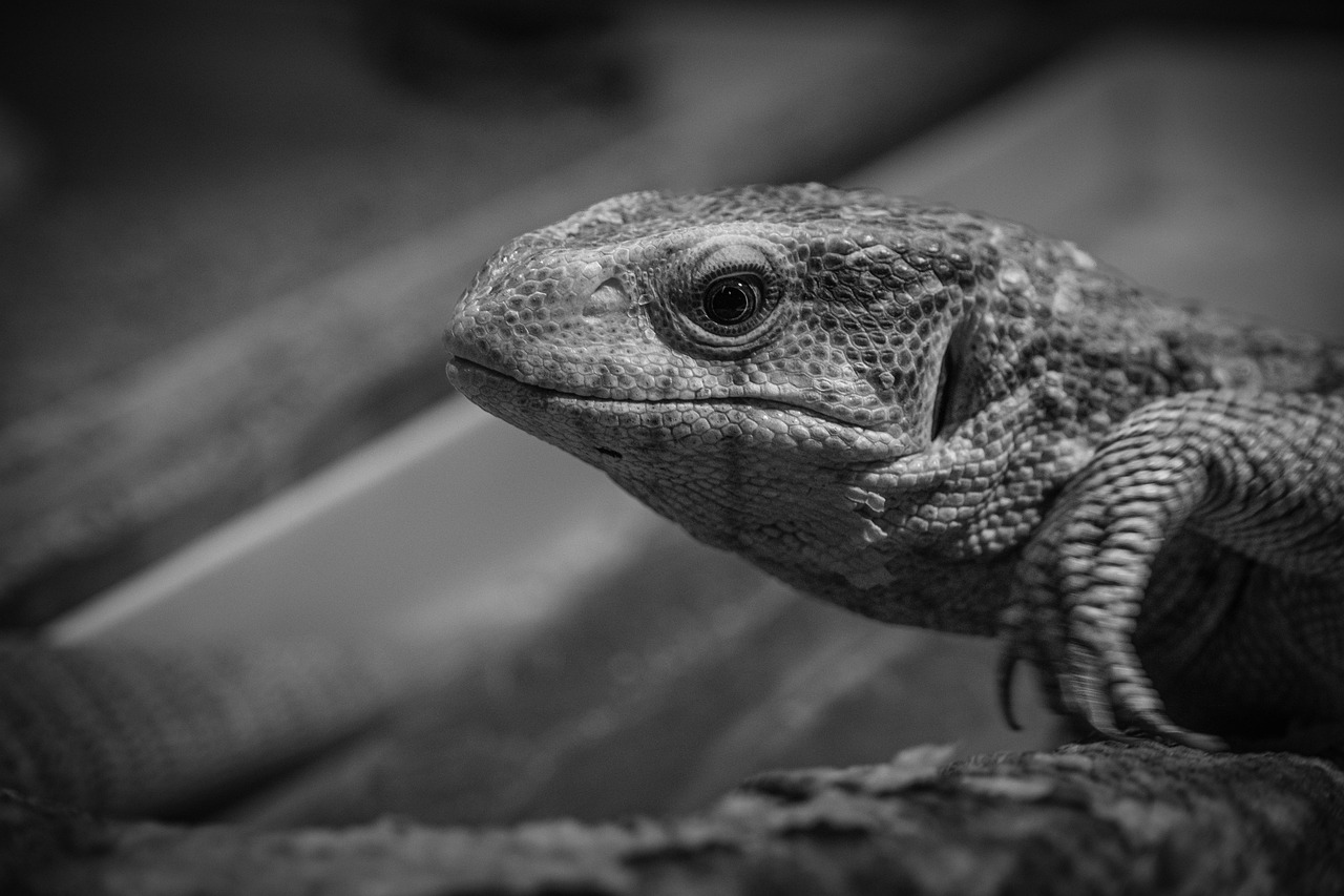 黒ずみ対策に効果的な美白クリームとクレイマスクの選び方は？