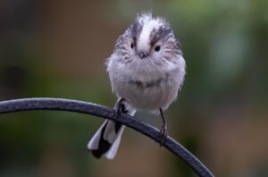 乳首の黒ずみを改善するための効果的な方法は？