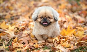 効果が出るまでにかかる時間やポイントは？