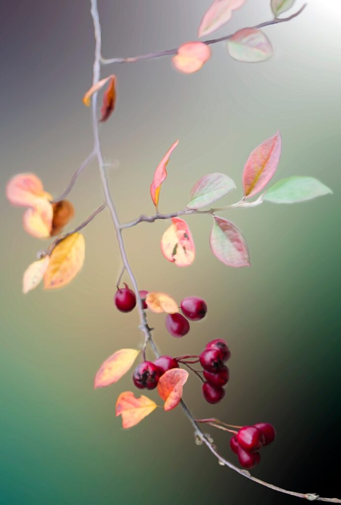 ヒップの黒ずみケアにはどんな方法が効果的？