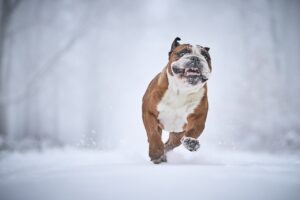 美白クリームの選び方は？あなたに合った判断基準を解説！