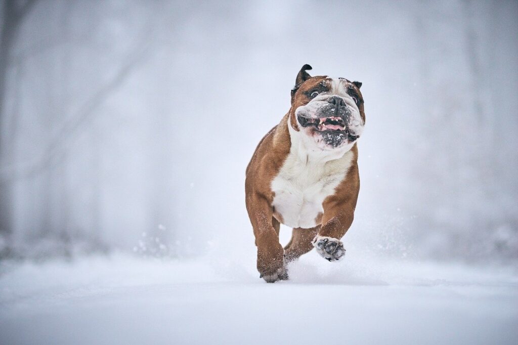 美白クリームの黒ずみに対する効果は本当にあるの？