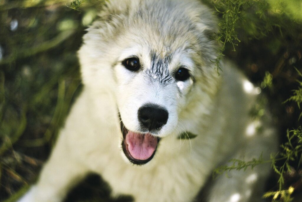 脱毛後の黒ずみを解消するためのケア方法は？