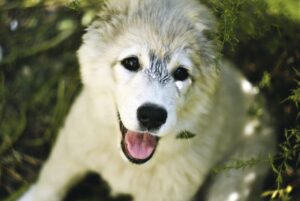 脱毛後の黒ずみを解消するためのケア方法は？