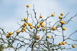 黒ずみが気になる乾燥肌の対策法は？