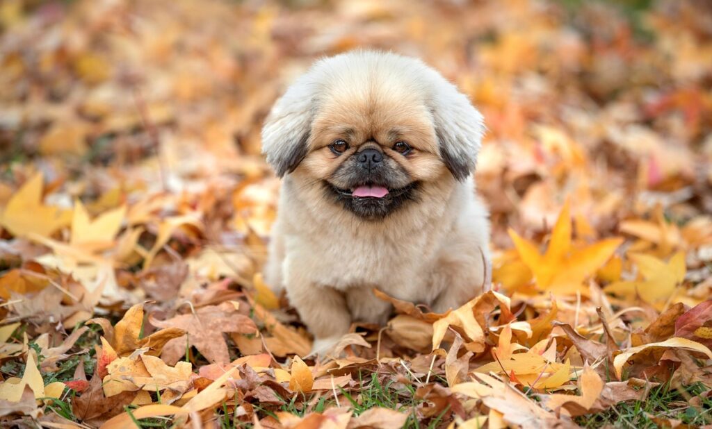 黒ずみの原因はホルモンにあるのか？