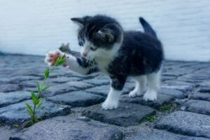 お尻の黒ずみを解消する美白ケアはどれが効果的？