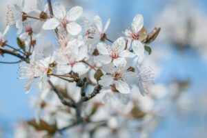美白クリームの効果が出ない人の特徴とは？