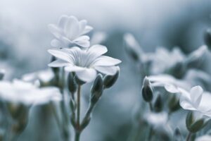 デリケートゾーンの美白クリームは人気だけど、本当に効果があるの？