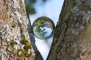 股の黒ずみケアクリームは本当に効果的？