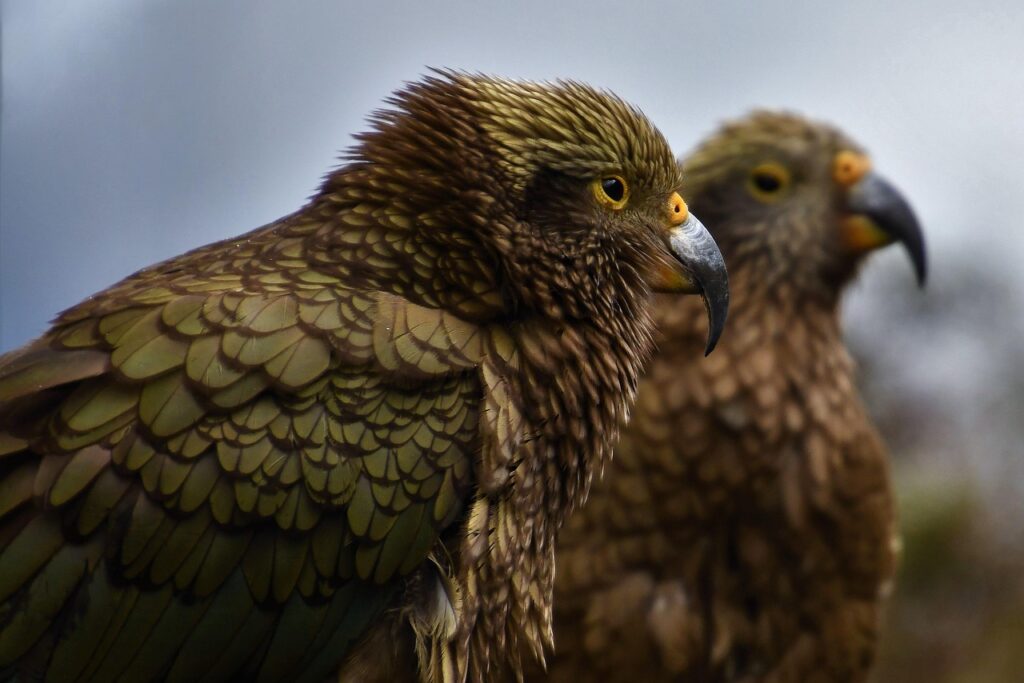 黒ずみケアの定期購入はどれがおすすめ？